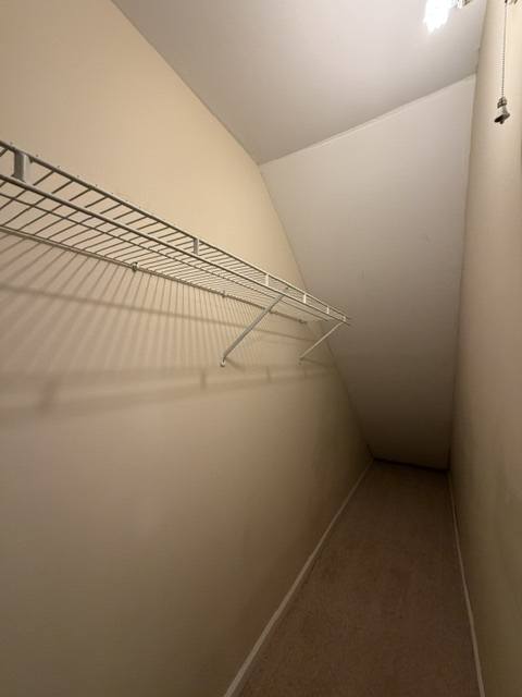 Gallery Photo 5